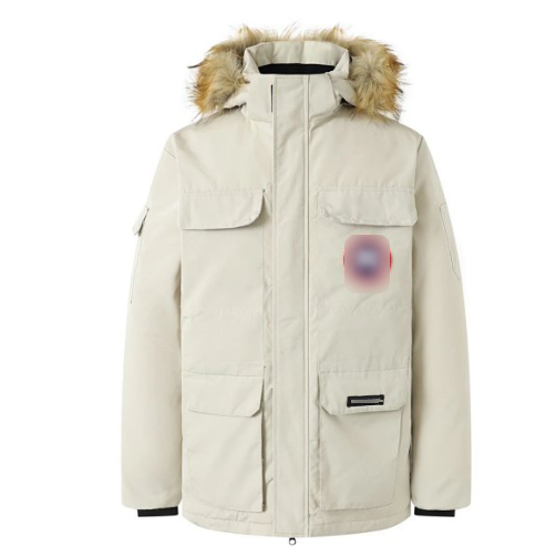 Goose Jacket Downjacket