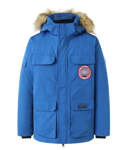 Goose Jacket Downjacket