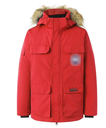 Goose Jacket Downjacket