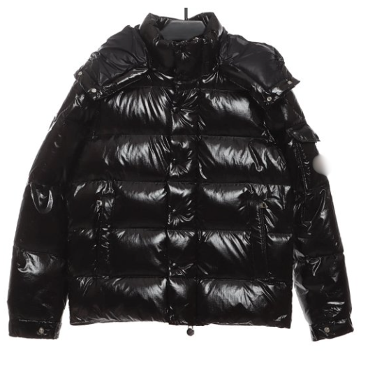 Monc Down Jacket Shine